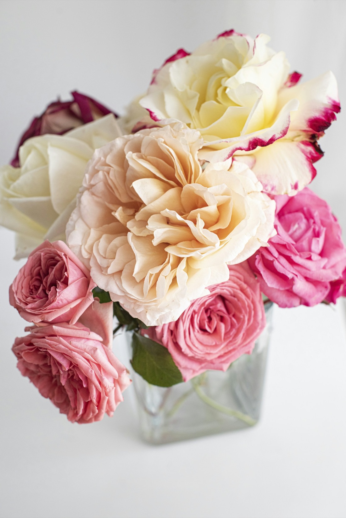 A bouquet of garden roses in pink and cream